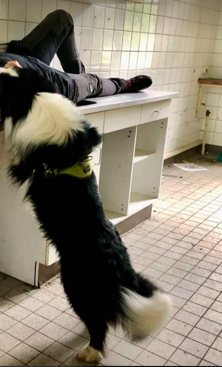 RBCNL workshop suppen