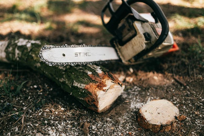A Stihl chainsaw rests on a cut log in a wooded area, with a small piece of wood lying on the ground nearby.