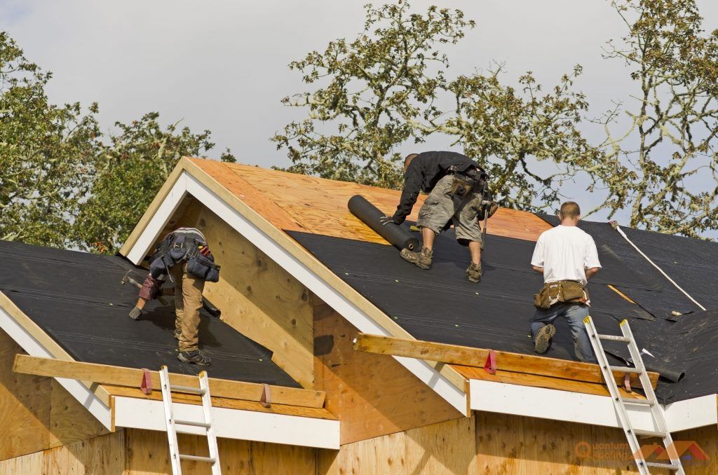 Construction workers installing roofing on a new house frame, with ladders and trees visible.