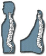 Spinal Reflexology