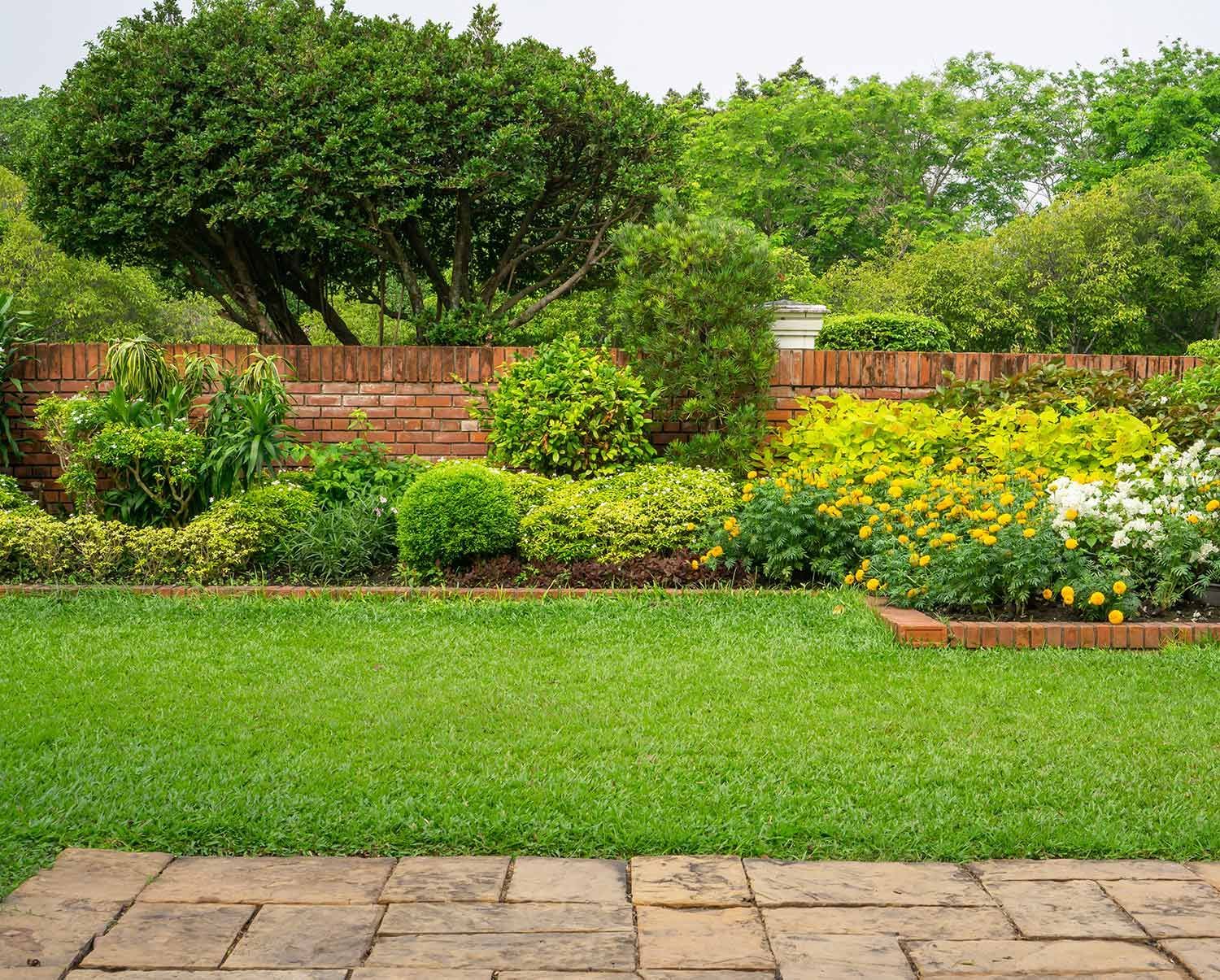 Lush Green Garden in Residential Area Lush Green Garden in Residential Area