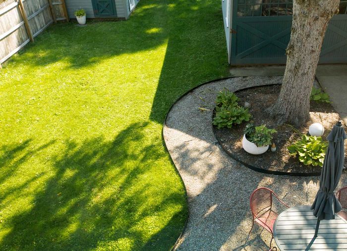Backyard with Lush Green Lawn and a Tree Backyard with Lush Green Lawn and a Tree