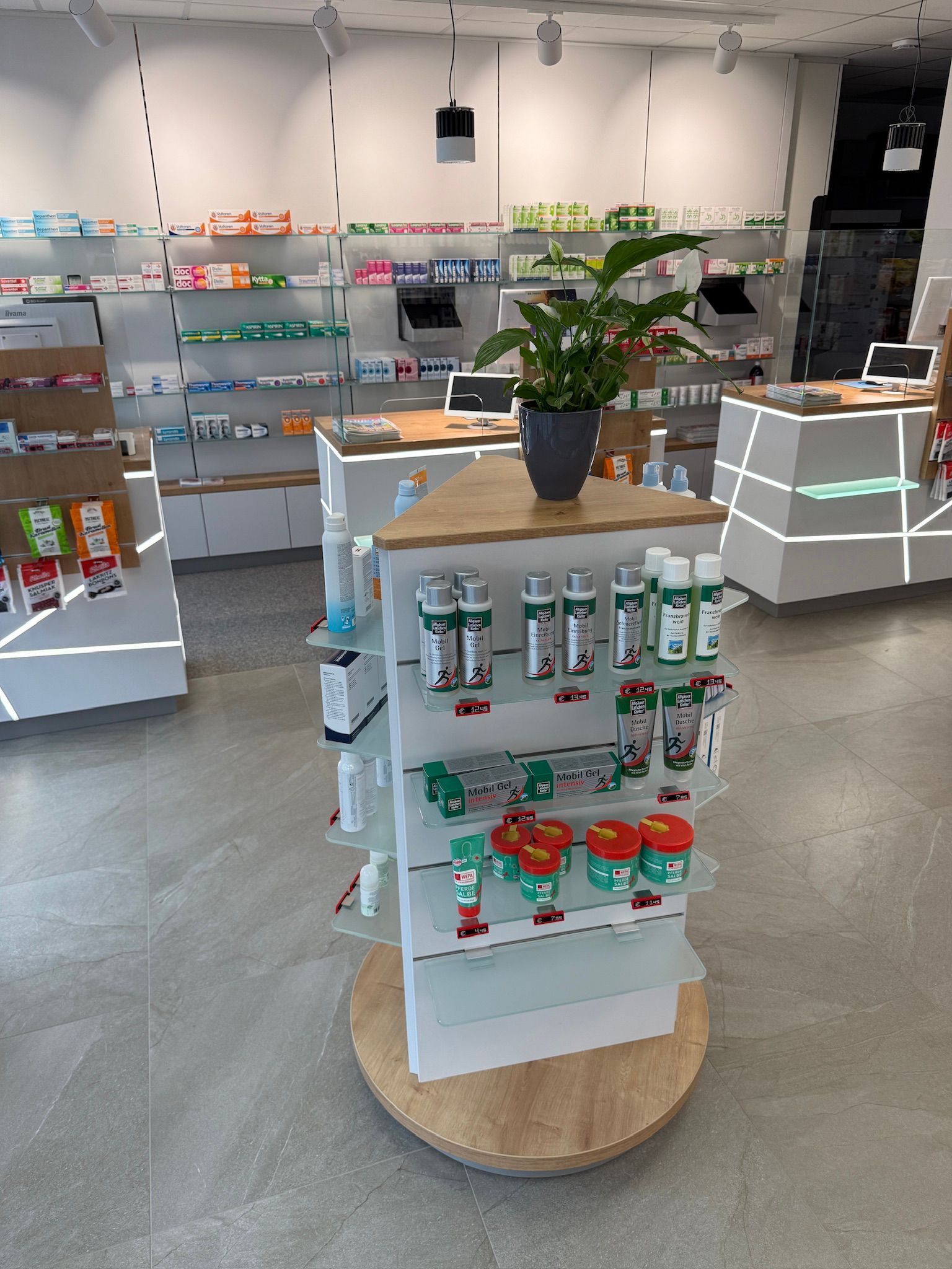 Eine Apotheke mit einer Pflanze auf einem Regal