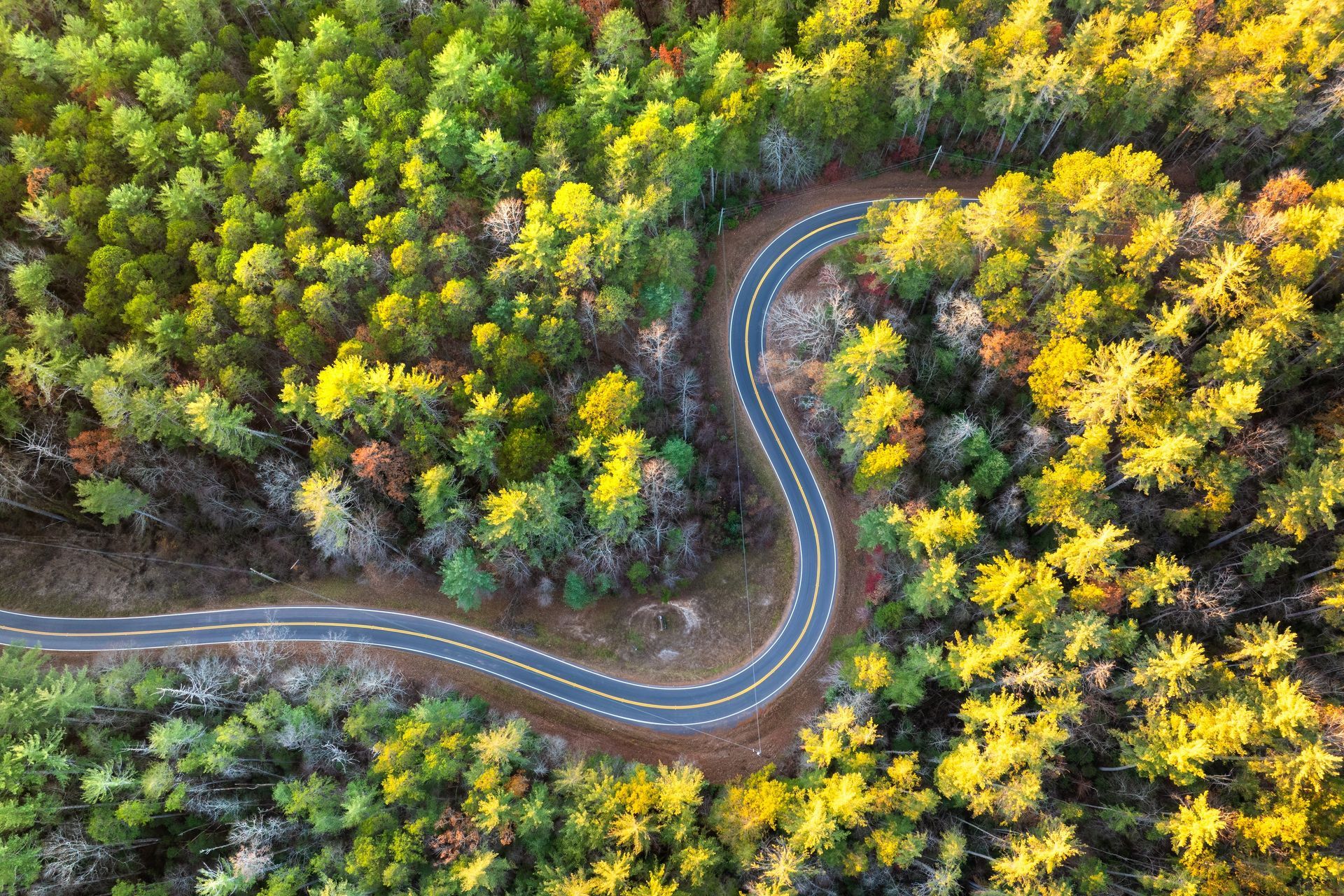 Winding road through a vibrant forest of green and yellow trees, seen from an aerial perspective.