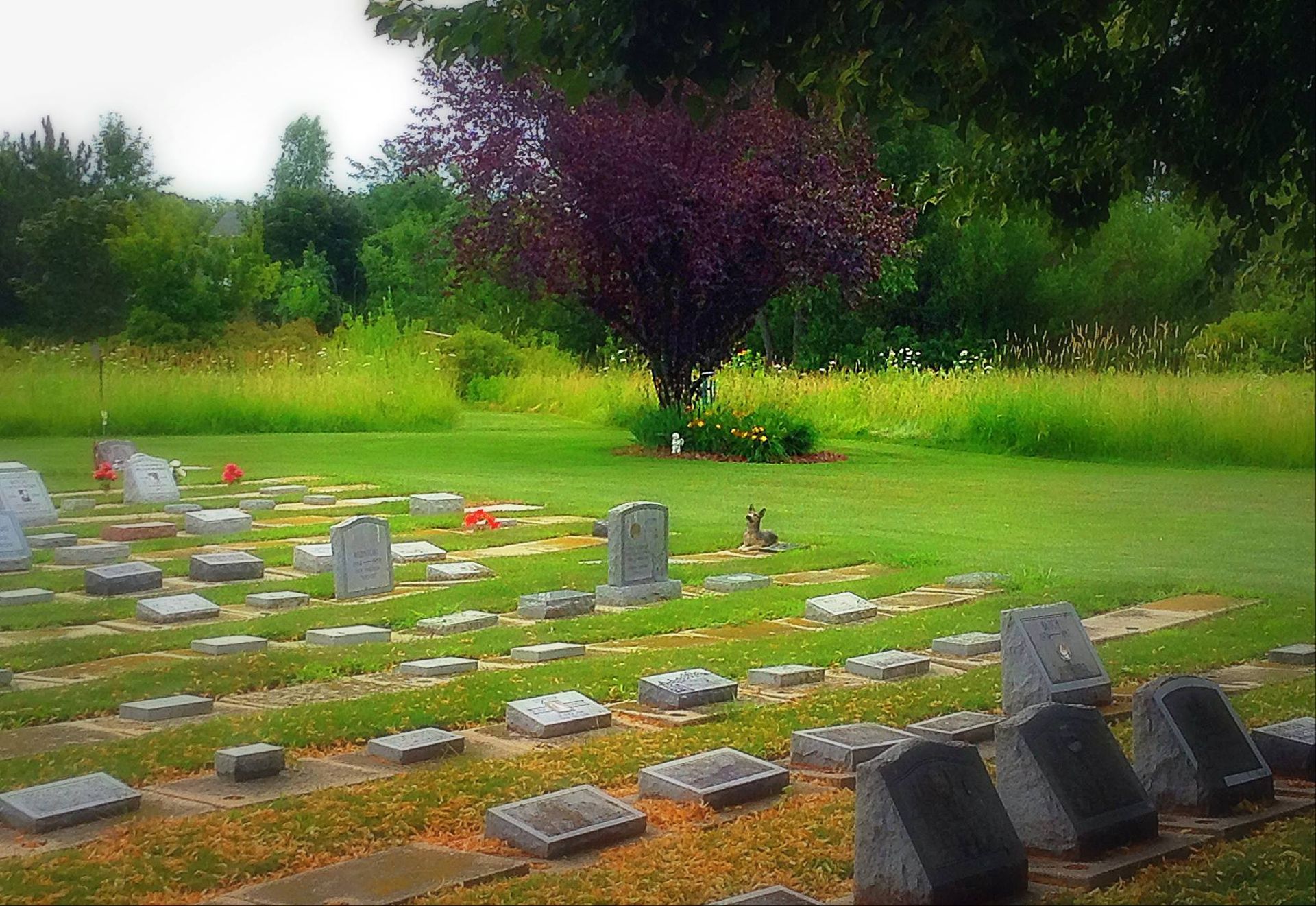 Forrest Run Pet Cremation & Cemetery