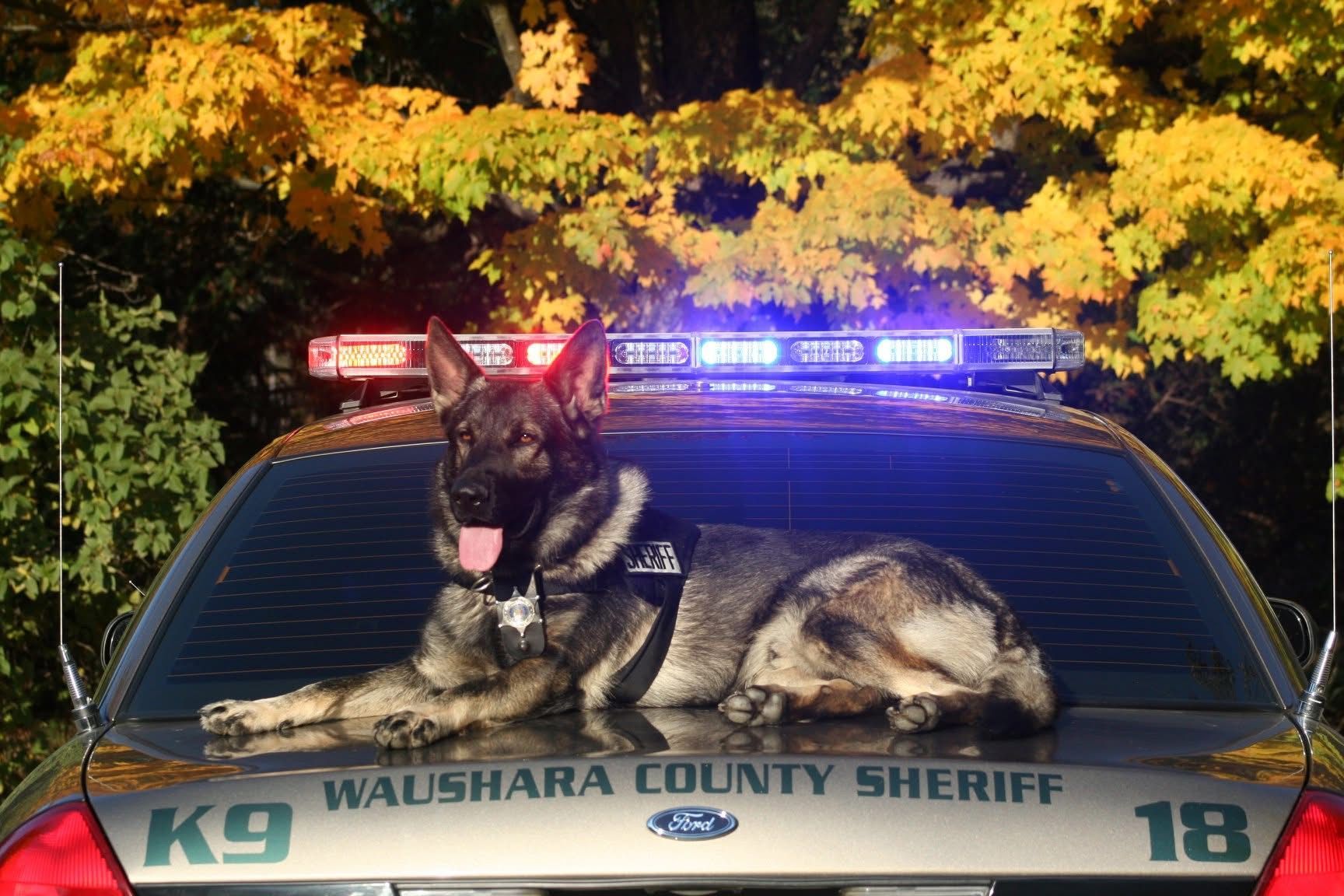 Police K9s