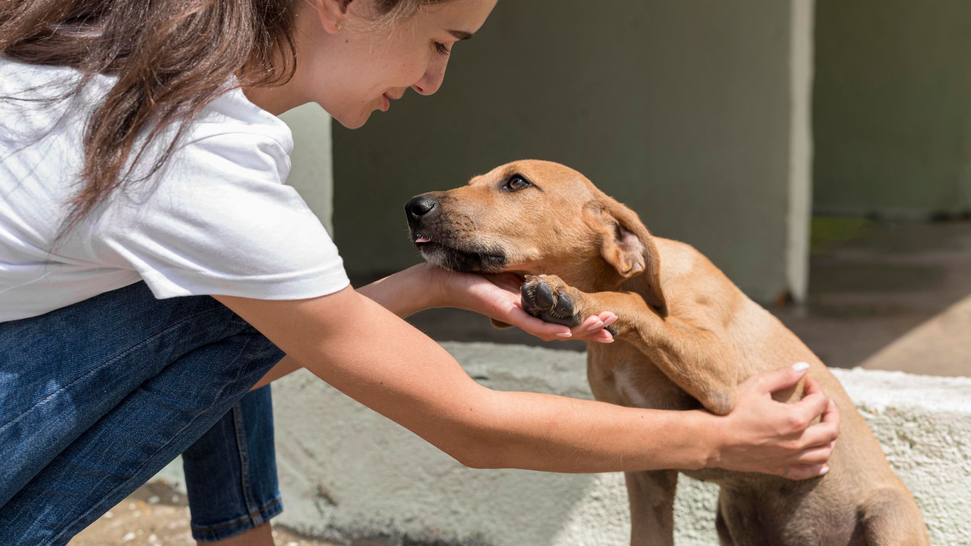 Rescues & Shelters We Support