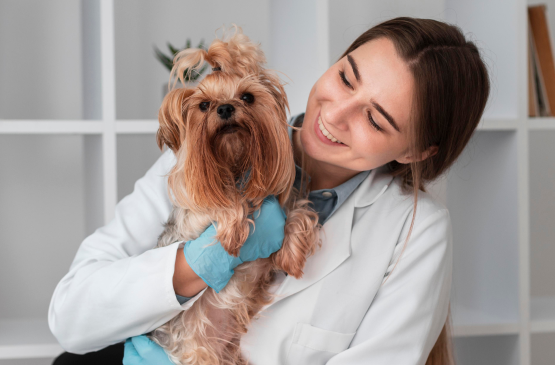 Veterinary Partners