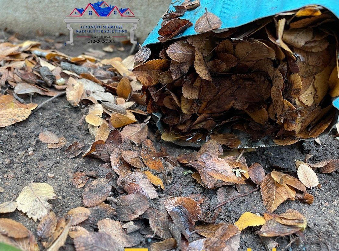 pic of clogged gutter with  leaves