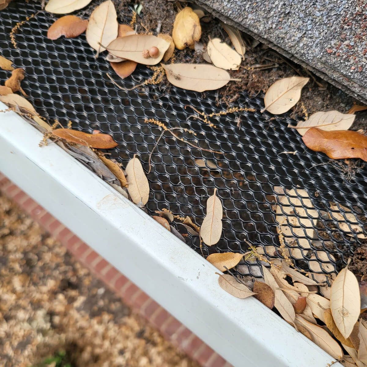 leaf protection service installed in rain gutters in austin tx