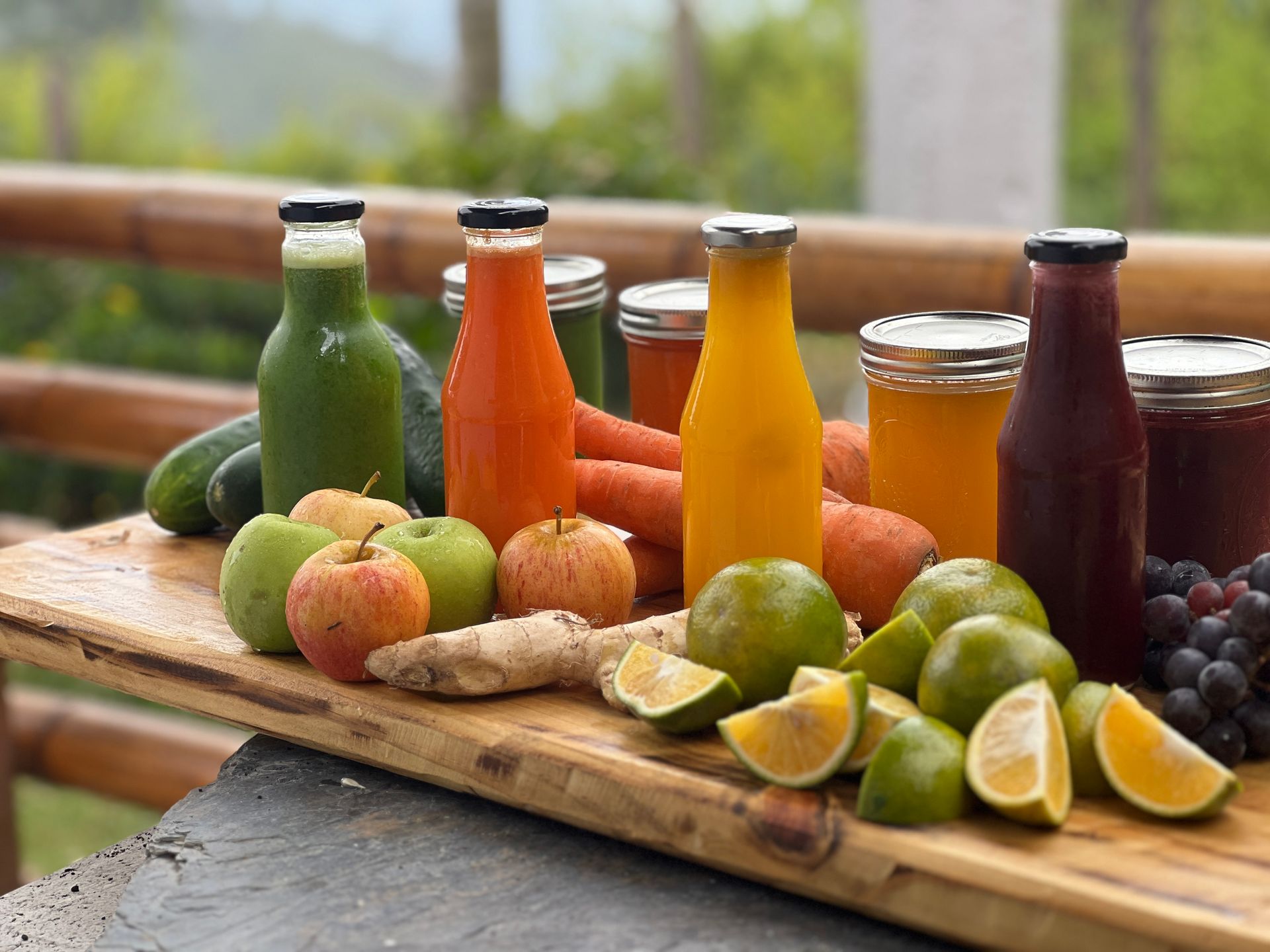 Medellin Retreat Academy and Vegan Hotel 