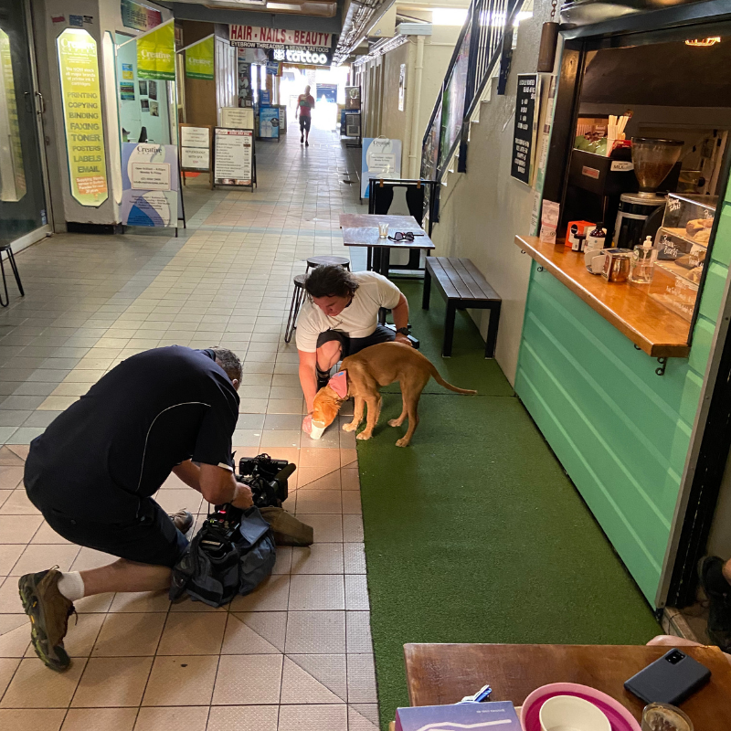 A man is kneeling down next to a dog in a hallway