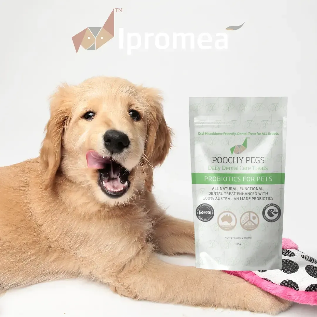 A bag of poochy pegs probiotics for pets on a white background.