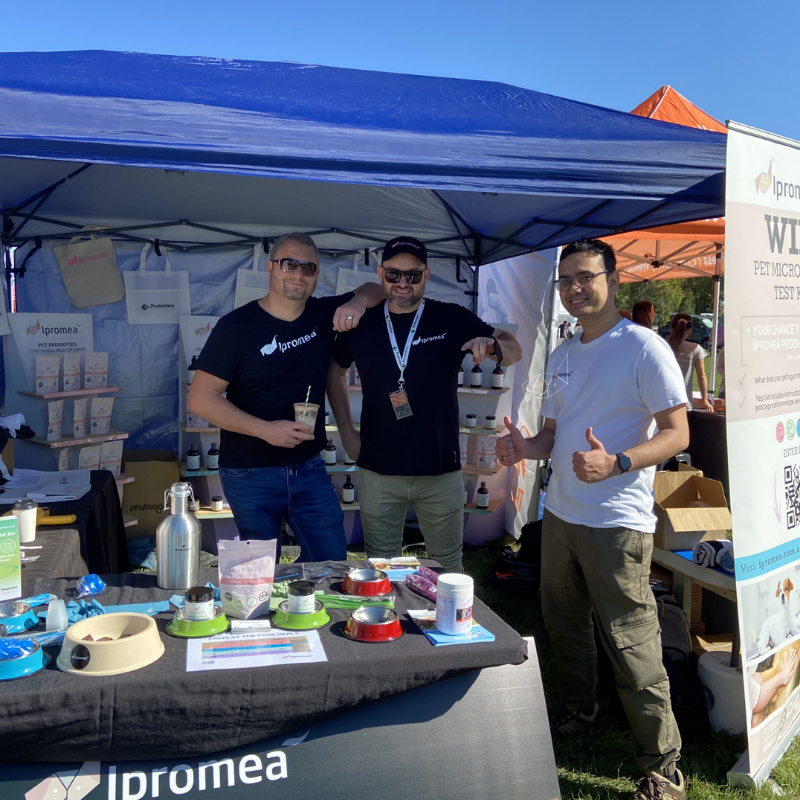 A group of men standing in front of a ipromea booth