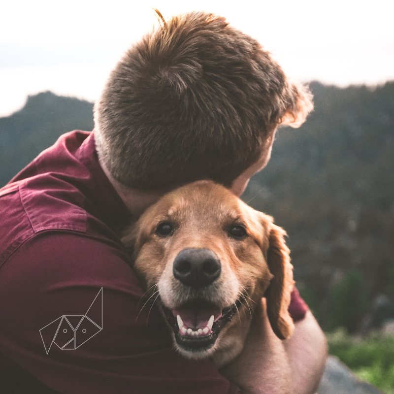 A man in a red shirt is hugging a brown dog