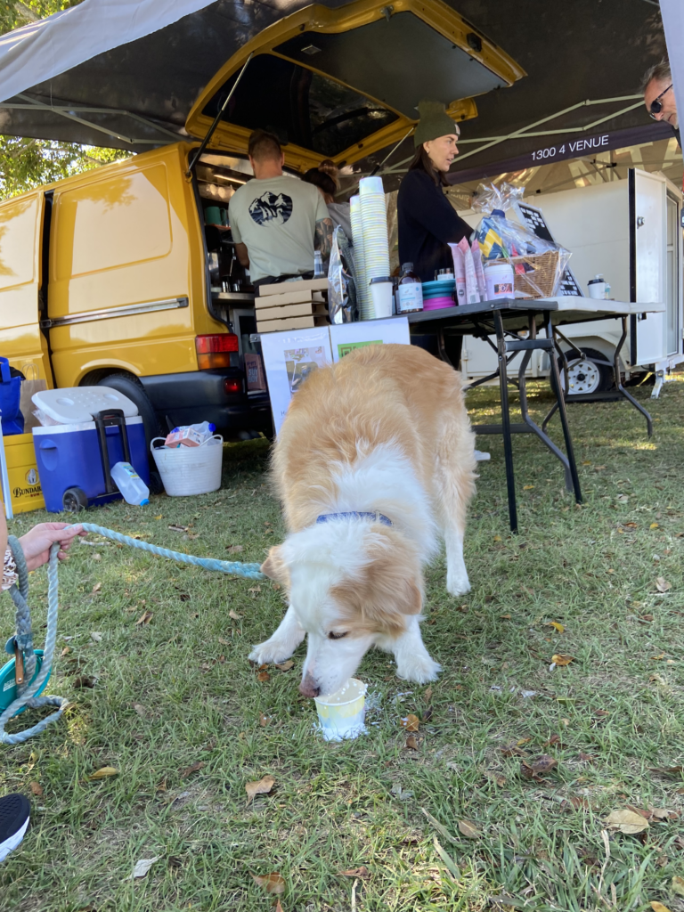 A dog is sniffing a piece of food in the grass.