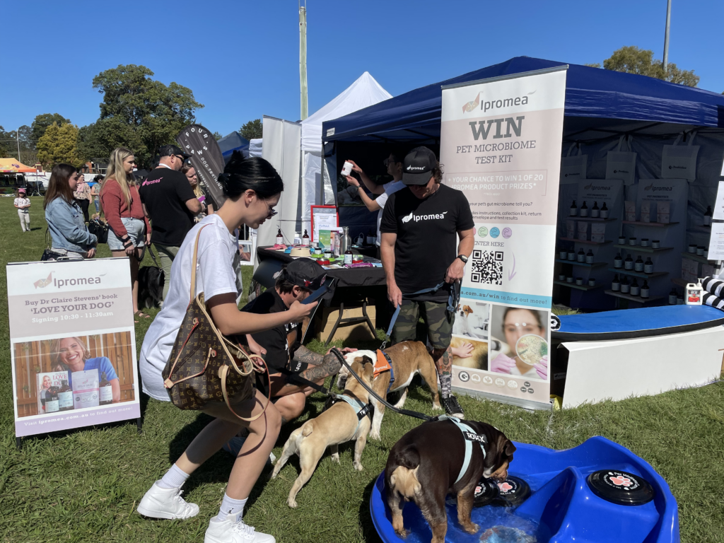 A group of people are standing around a dog pool at a dog show.