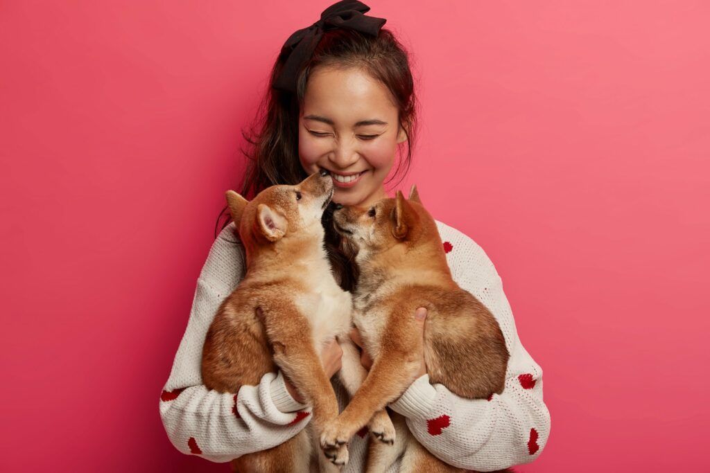 A woman is holding two shiba inu puppies in her arms.