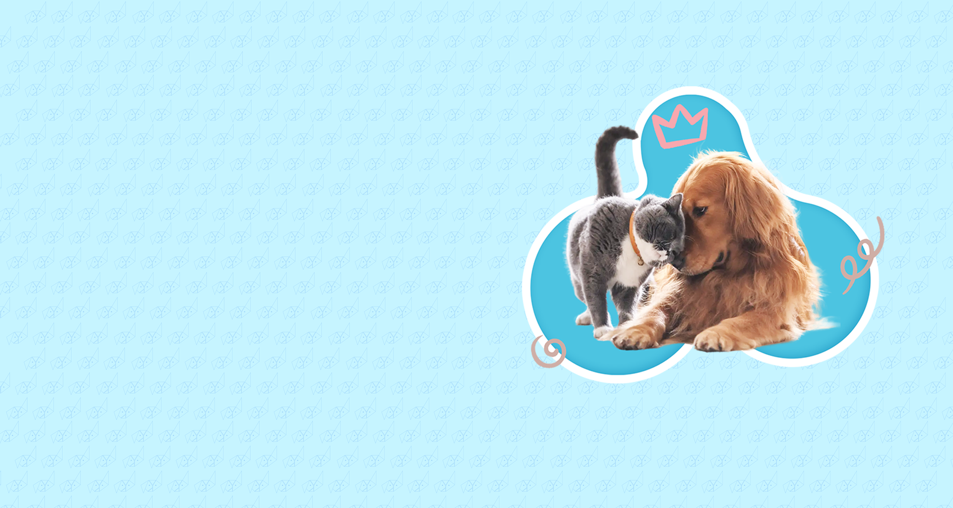 A dog and a cat are sitting next to each other on a blue background.