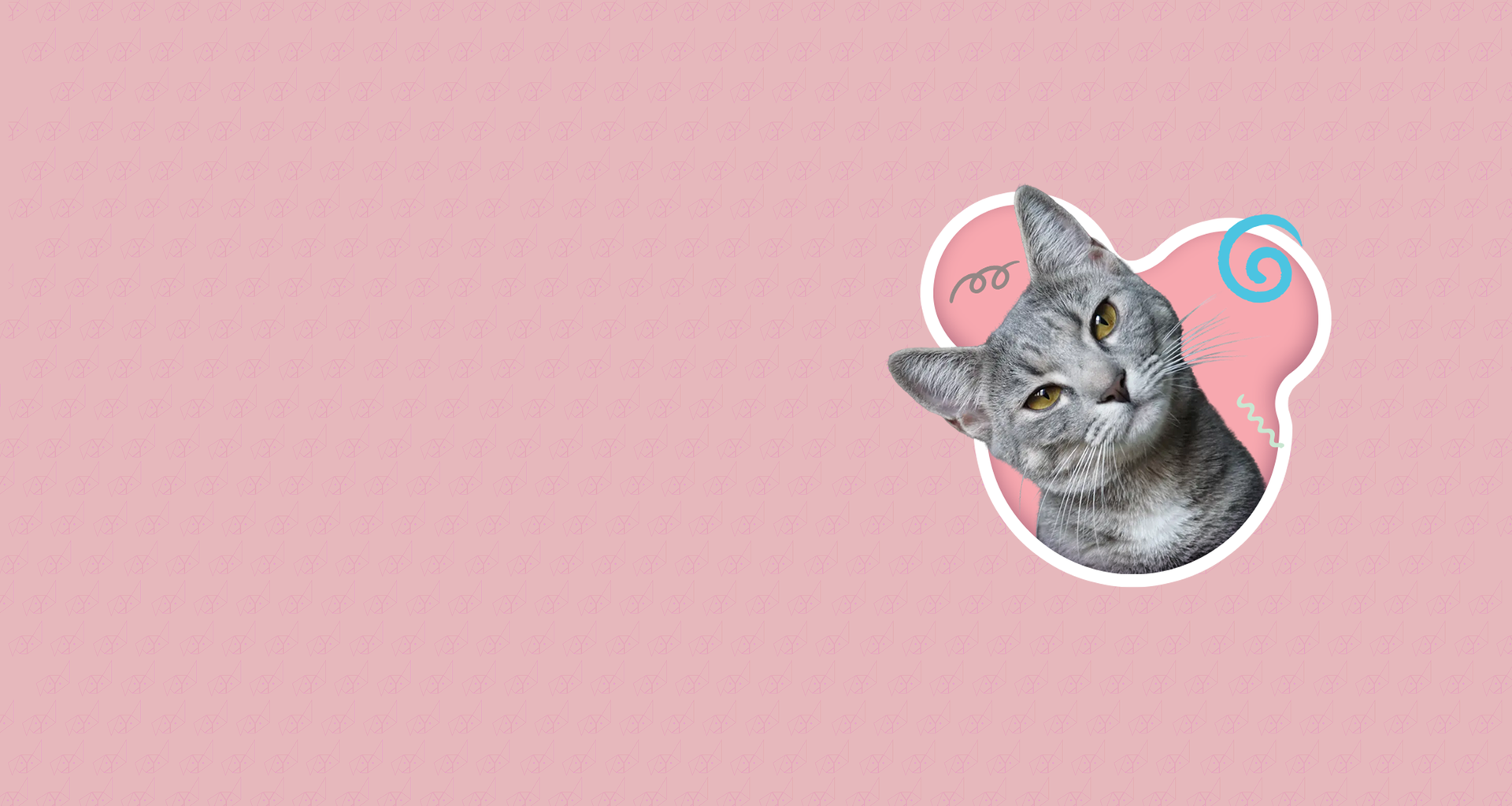 A cat is sitting in a heart on a pink background.