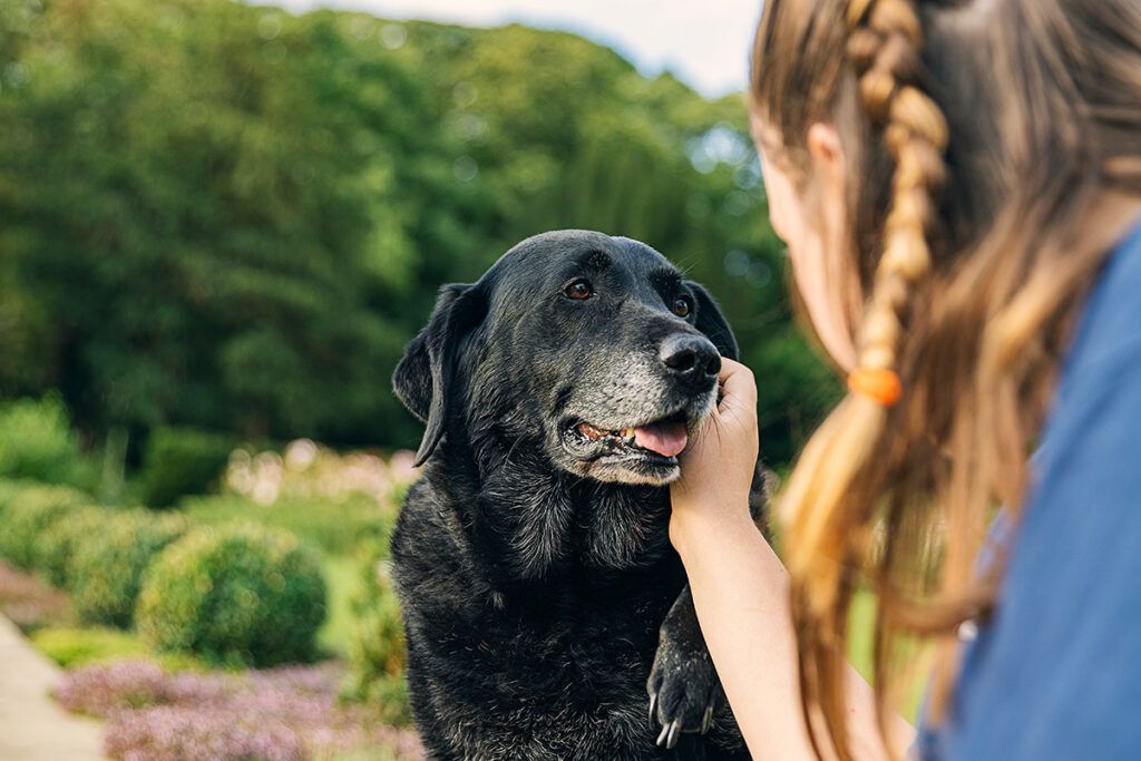 A woman is petting a black dog in a park.