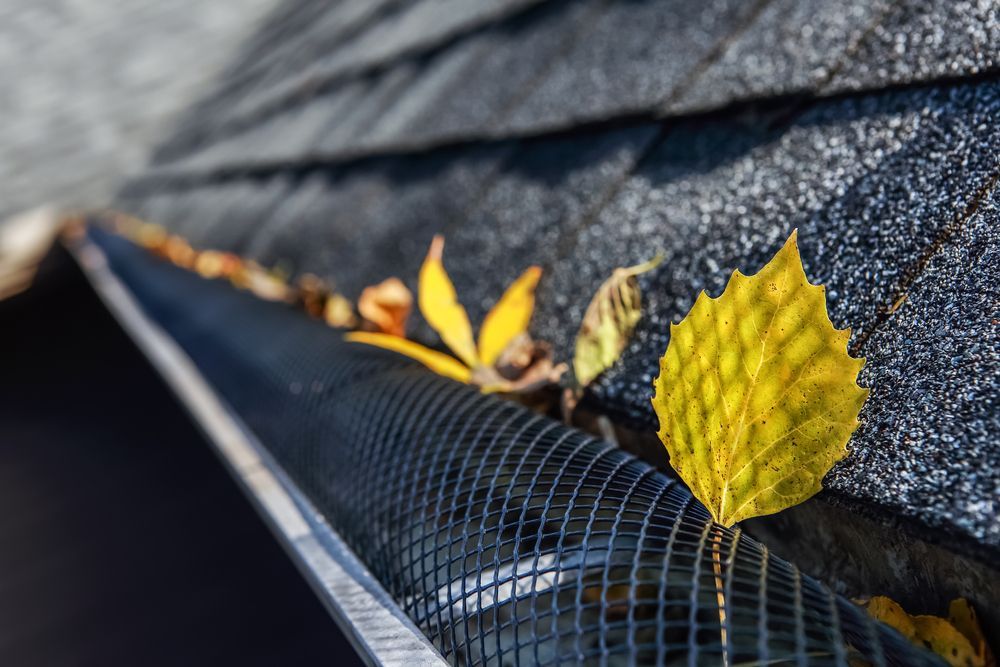 A yellow leaf is sticking out of a gutter on a roof.