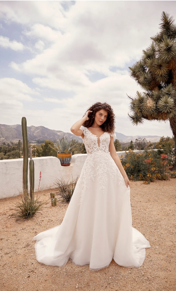 Woman in a white wedding dress, posing outdoors. Desert landscape with cacti and mountains in the background.