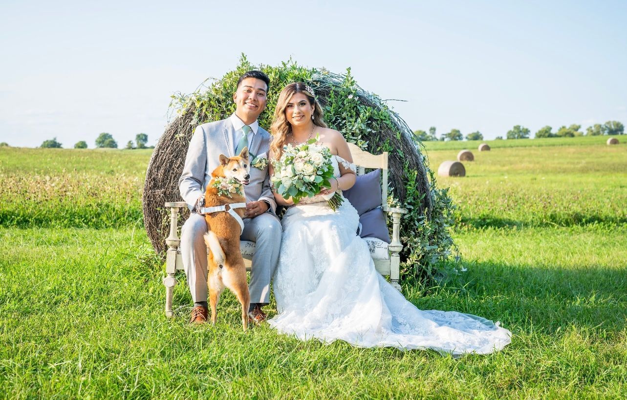 Newlyweds sit with dog in front of a hay bale backdrop. Bride in white dress, groom in gray suit, sunny field.