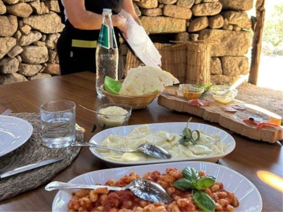 TASTE OF SARDINIA, BEES, CHEESE, AND WINE