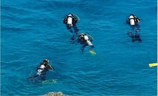 Scuba Diving in Sardinia