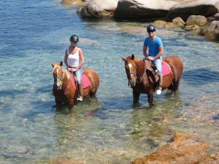 Horse Riding in Sardinia