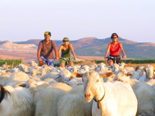  Mine of Memories Cycle Tour Detailed Sardinia