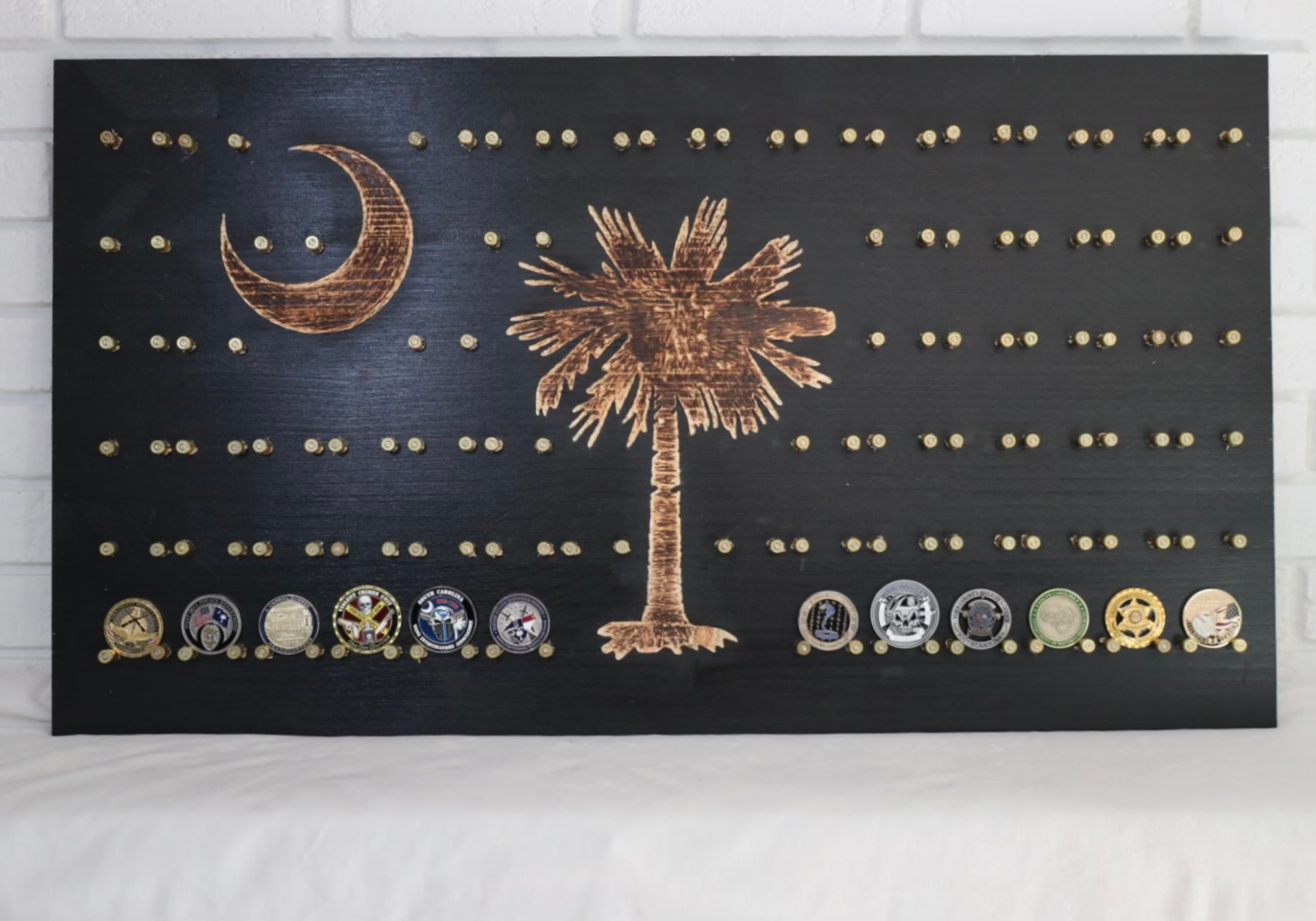 Wooden display board with South Carolina flag design holding coins. Black background, tan crescent, palmetto tree, and coin displays.