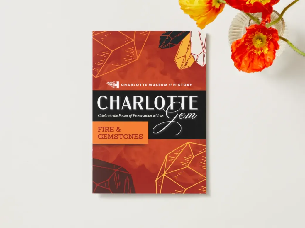 Book cover for