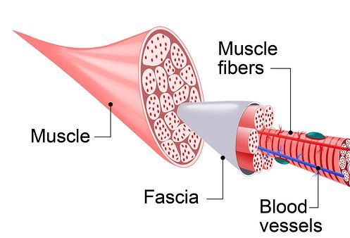 What is Myofascial Release?