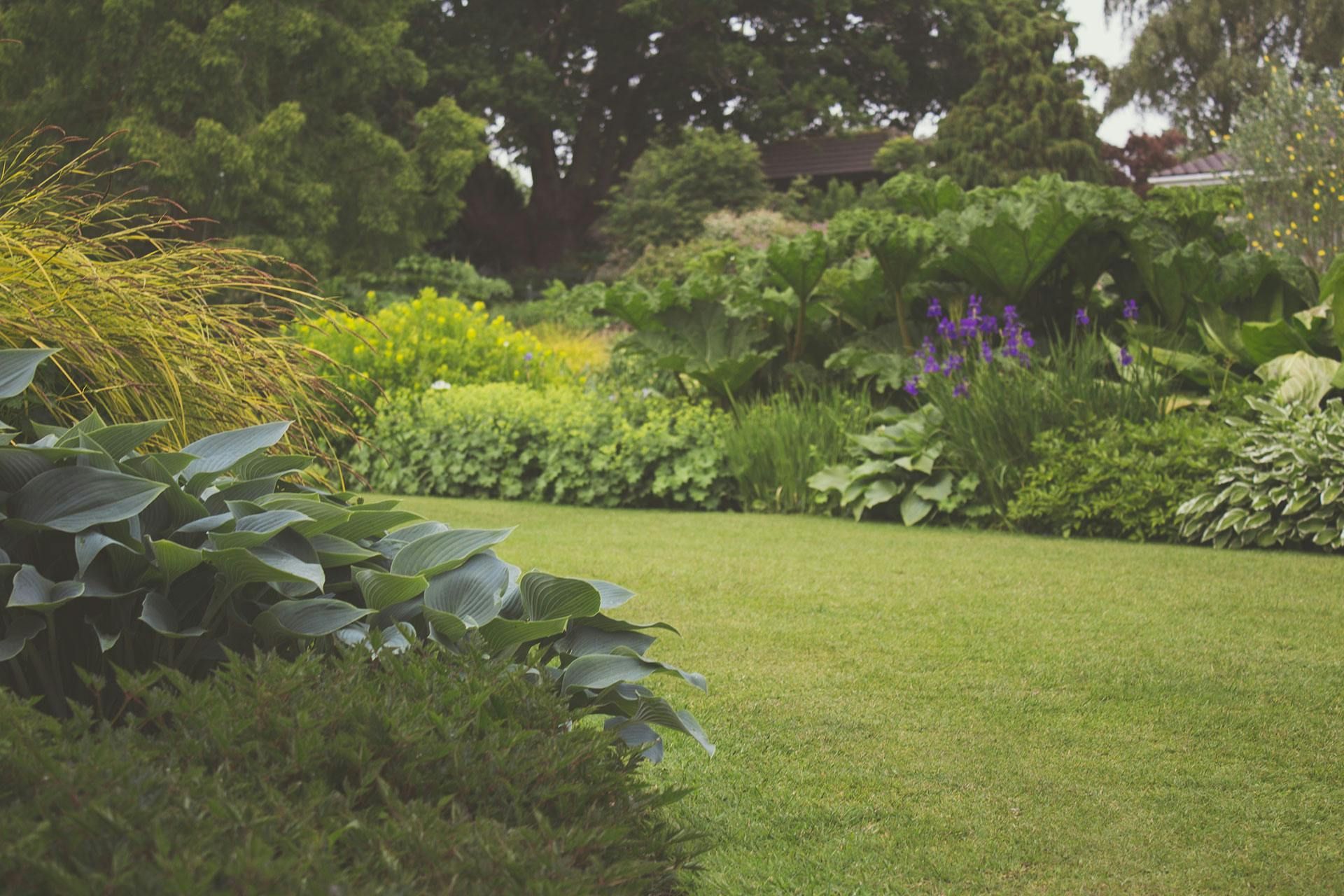 Lush green garden with a manicured lawn, shrubs, and trees in soft daylight