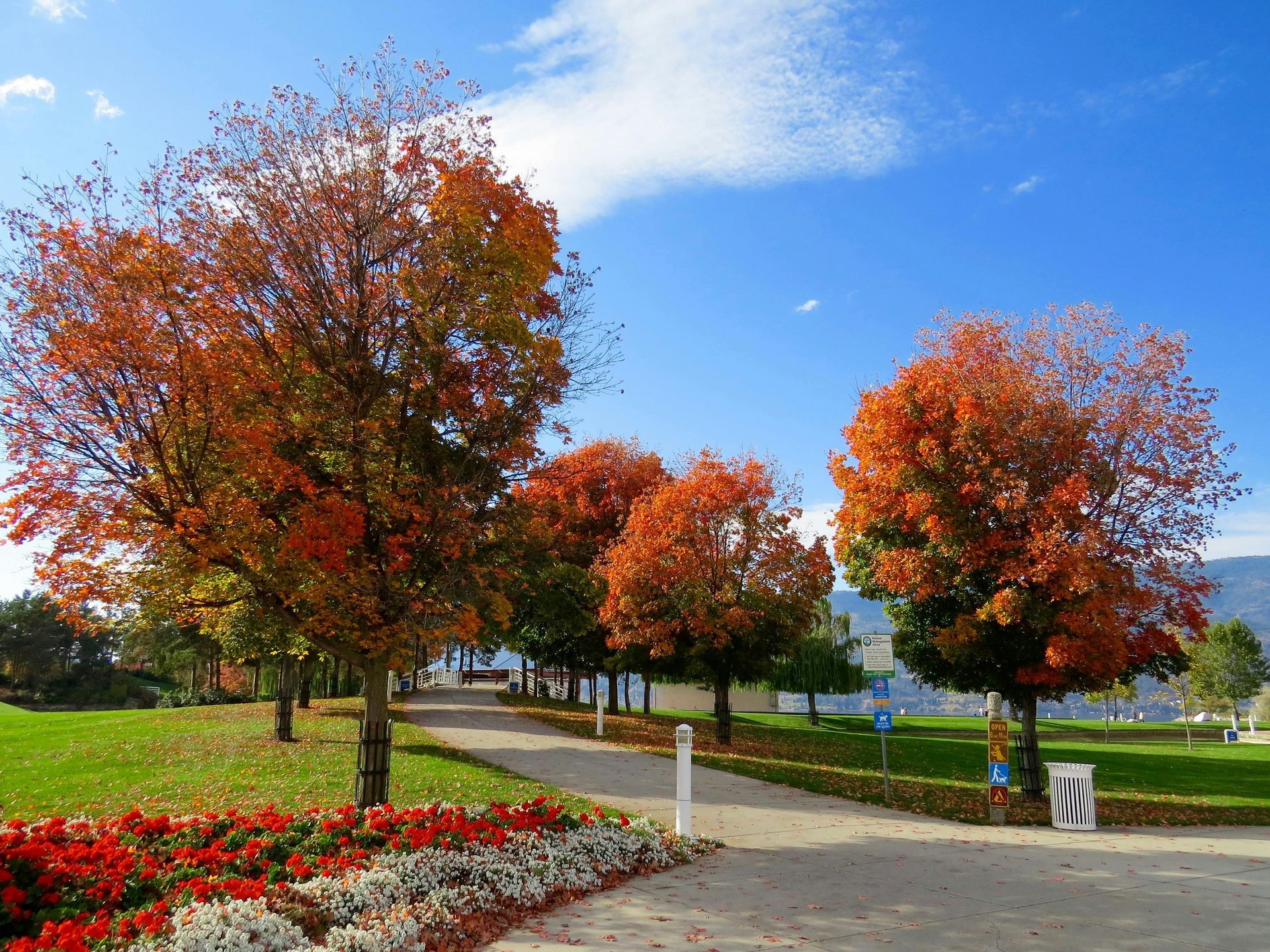 Autumn park with colorful trees, flower bed, and a paved path under a blue sky
