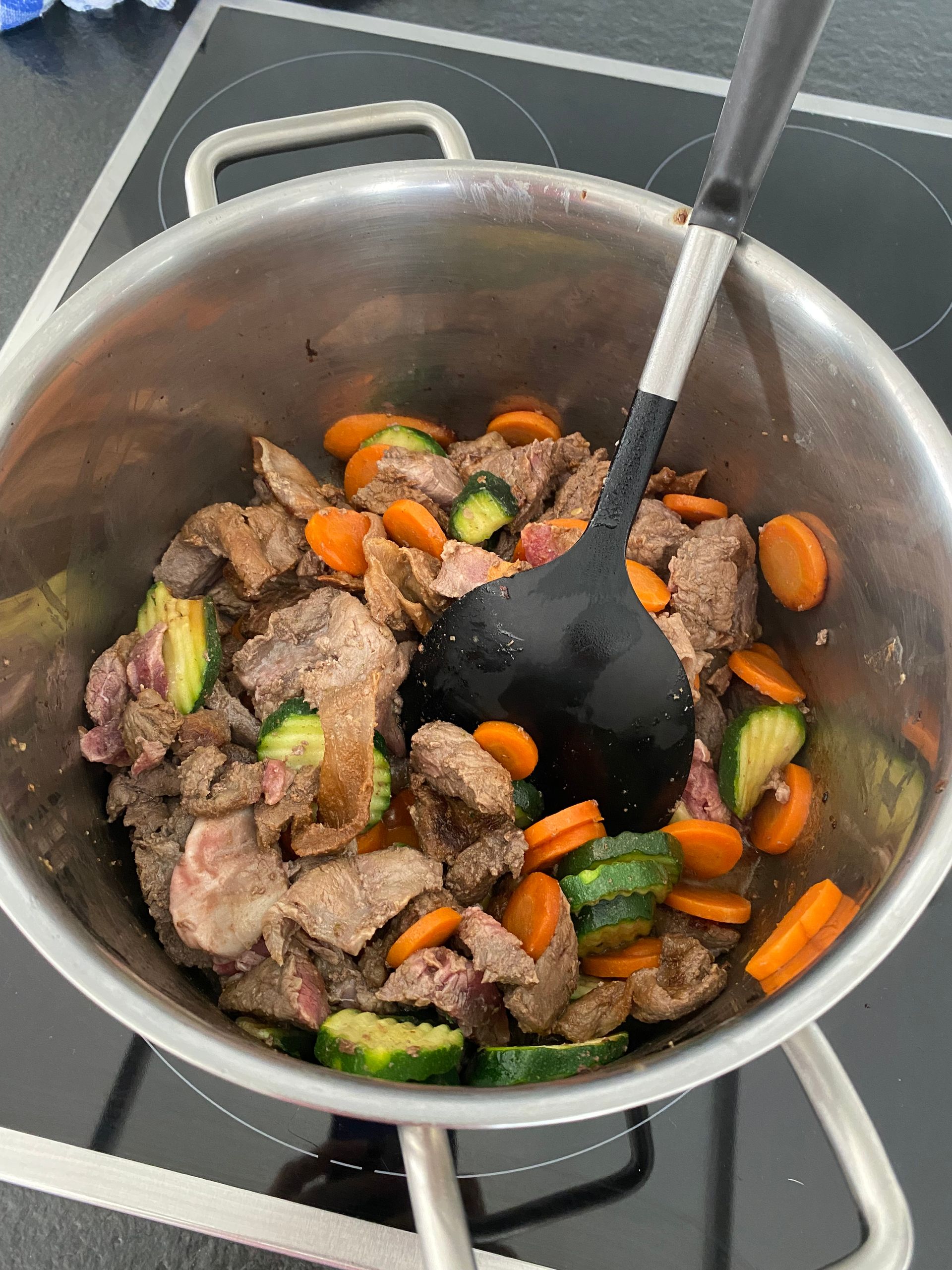 Vétérinaire vernier Genève