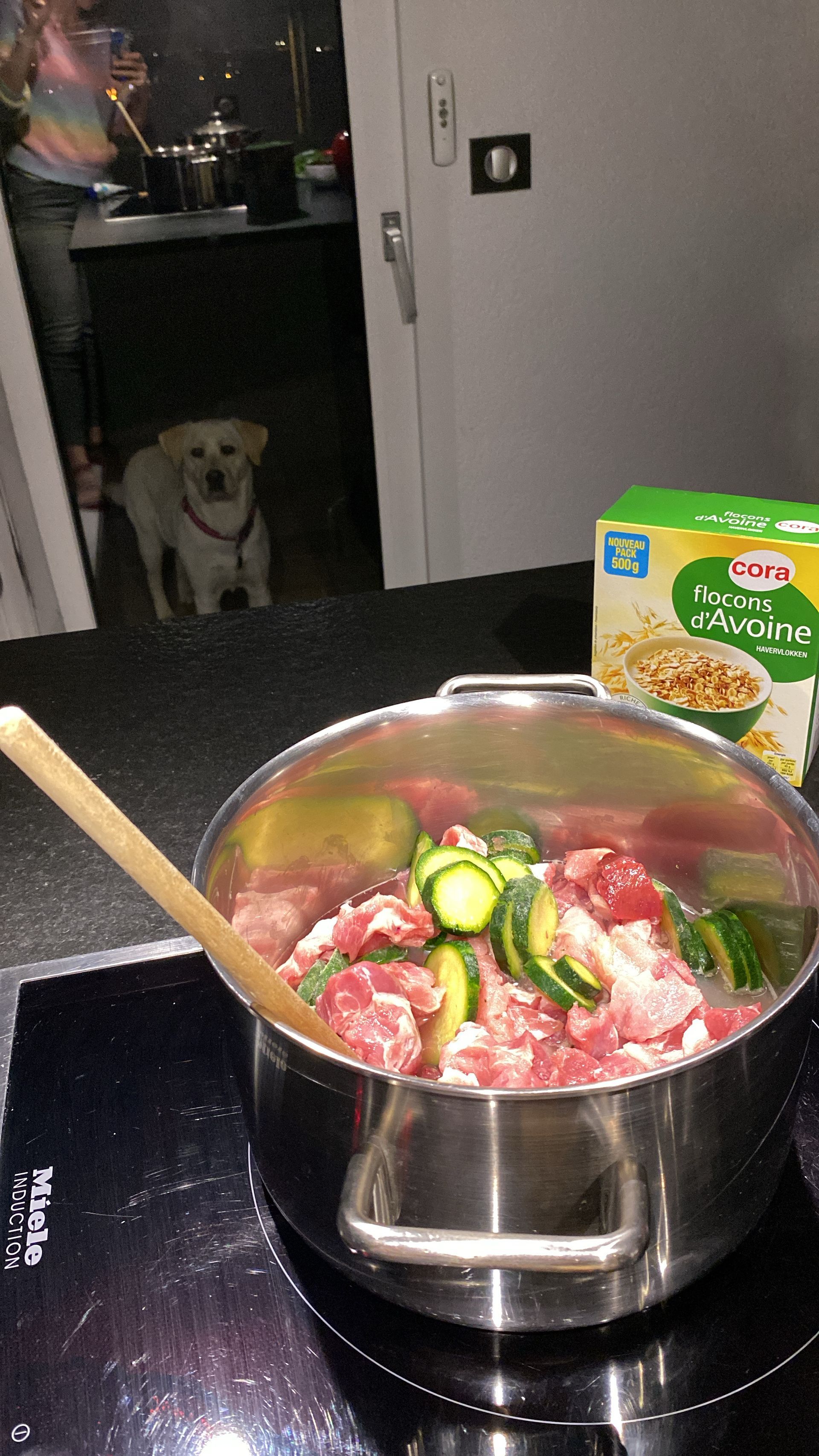 Vétérinaire vernier Genève