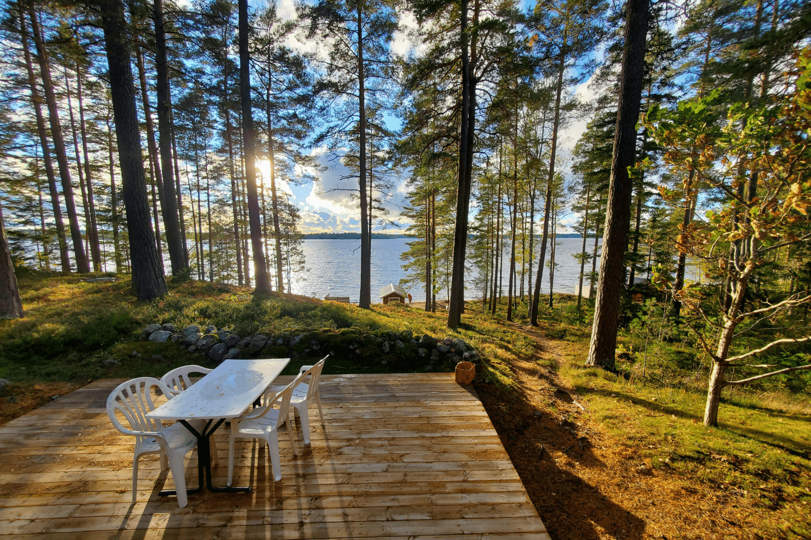 Concrete sidewalk under construction, with wooden forms and stakes.
