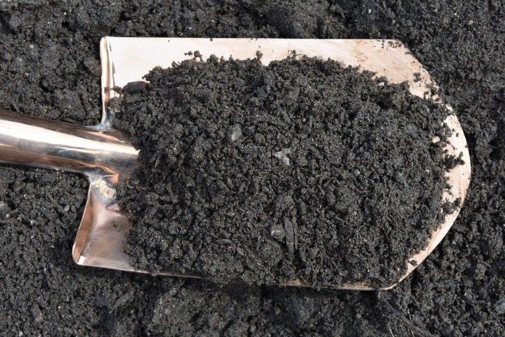 All Purpose Topsoil #1 — Redmond, WA — de Jong’s Avondale Bark & Topsoil