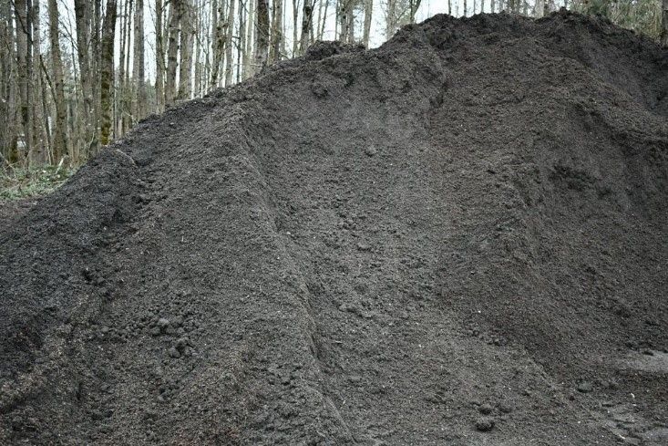 All Purpose Topsoil #2 — Redmond, WA — de Jong’s Avondale Bark & Topsoil