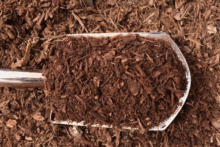 Medium Fine Bark #2 — Redmond, WA — de Jong’s Avondale Bark & Topsoil