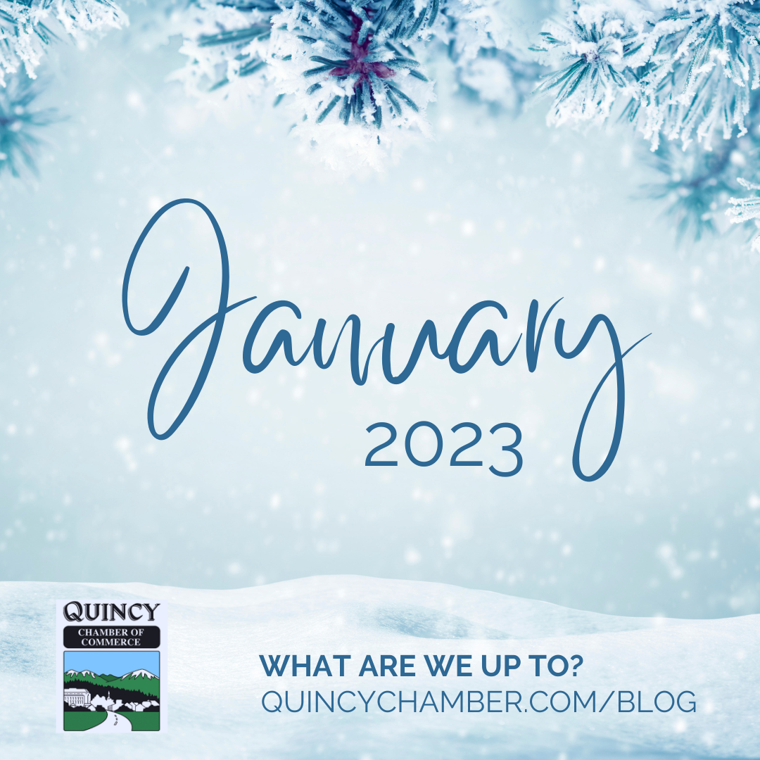 January 2023: What Are We Up To?