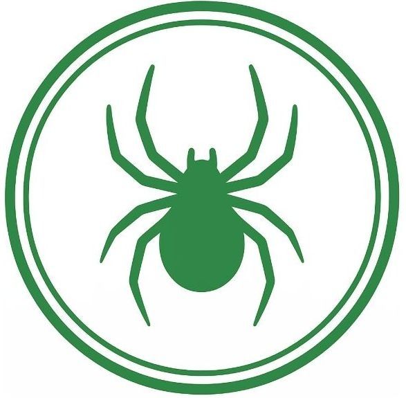 A green spider is in a green circle on a white background.