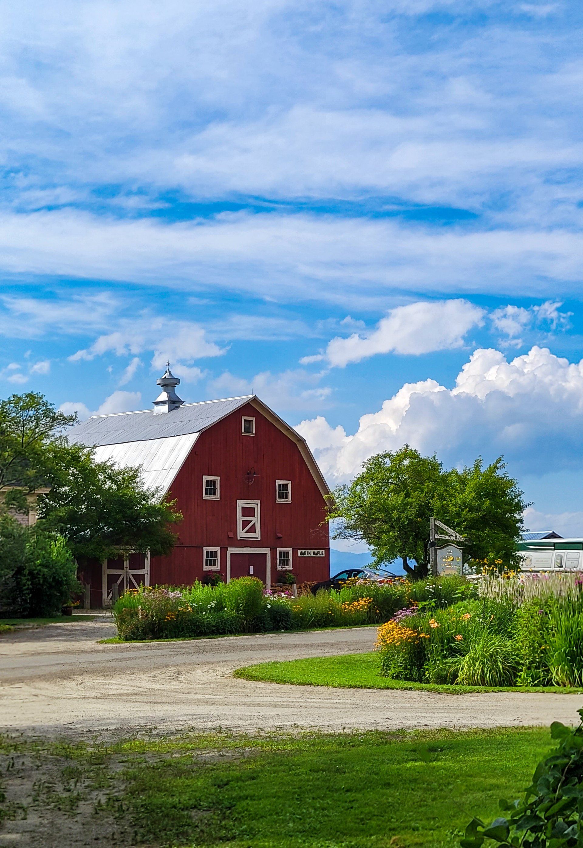 The Wildflower Barn surrounded by sunny Vermont skies and beautiful spring flowers