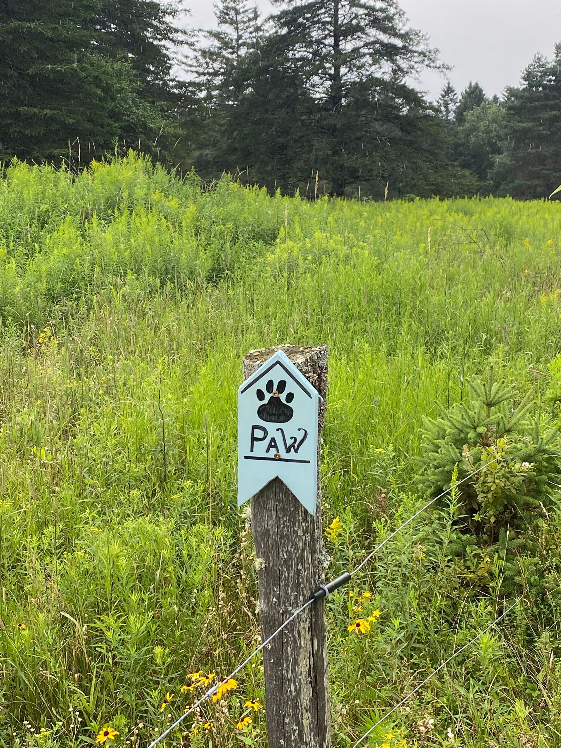 A wooden post with a pawprint on it marks the pet-friendly walking Path Around The Wildflower in East Burke, Vermont