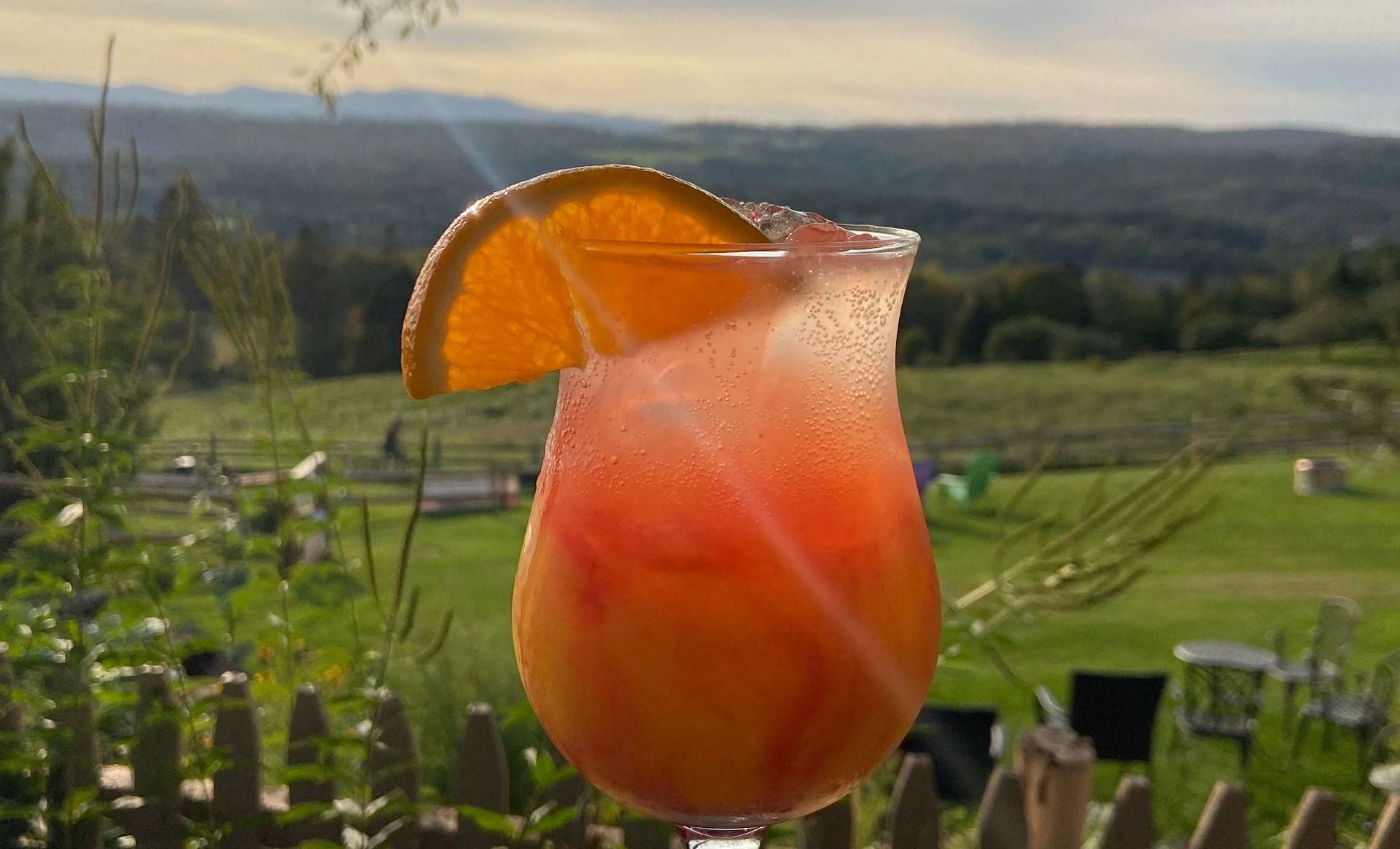 A cocktail with a view at The Wildflower Restaurant and Bar