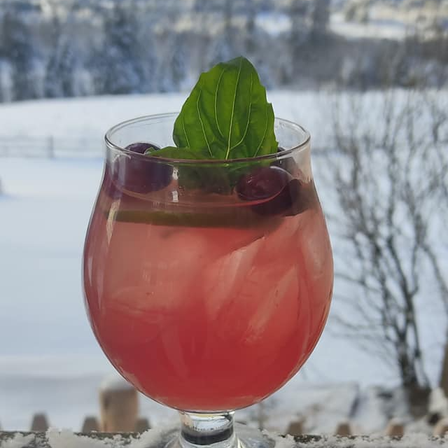 A glass of red liquid with a mint leaf on top