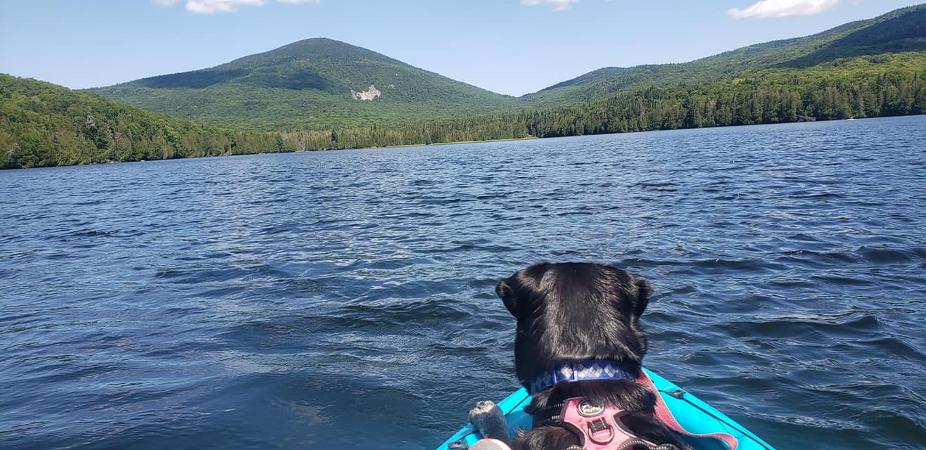 Kayaking on Lake Willoughby with a dog after a stay in The Wildflower's pet-friendly room